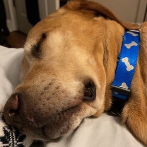 Meet your Posher, Joseph